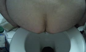 Fat pig pooping in the toilet