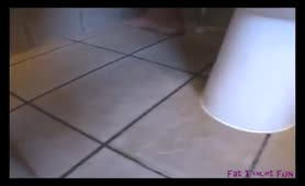 BBW babe shitting in toilet
