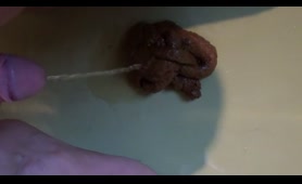 Chick Pokes at a Steamy Shit
