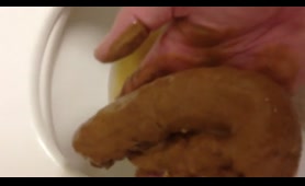 The Poop Hunter Finds a Nasty Dump