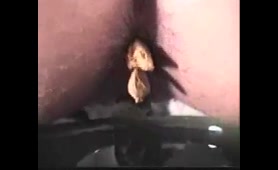 Hot Brunette Chick Craps in the Bathroom