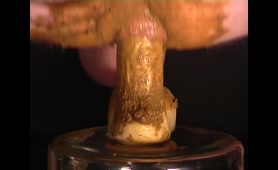 Dildo Gets Shit in His Ass