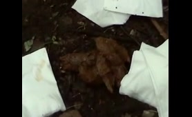 Man Craps in the Forest
