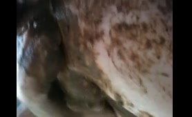 Shit Pig Babe Takes a Dump