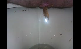Woman Poops Just for You