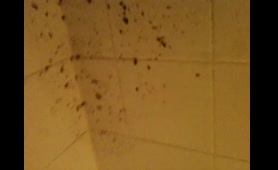Curvy Babe Shits on Toilet Floor