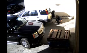 Woman Caught Pooping on CCTV