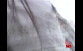 Petite Lady Poops on the Roof