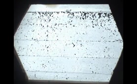 Amateur Chick Takes a Leak