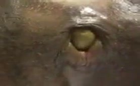 Yellow turd dropped in close up