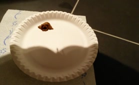 Pile of crap on a white plate