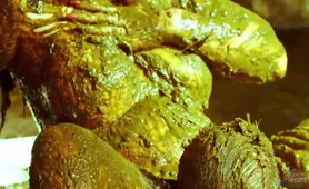 Scat couple Betty and Frankys enjoying cowshit sex adventure 