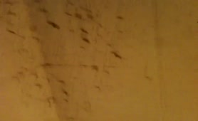 Scattered shit all over the toilet floor