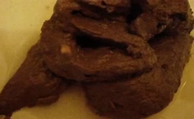 Long turd in close up