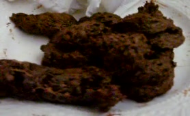 Tasting shit for the first time