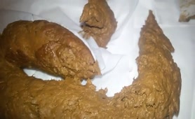 Fresh brown turd dropped on the bedroom floor