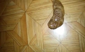 Proud of his hard turd