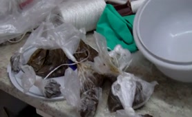 Fresh shit in plastic packs